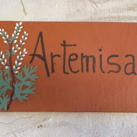 La Senda Del Duraton *