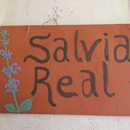 Apartment La Senda Del Duraton *